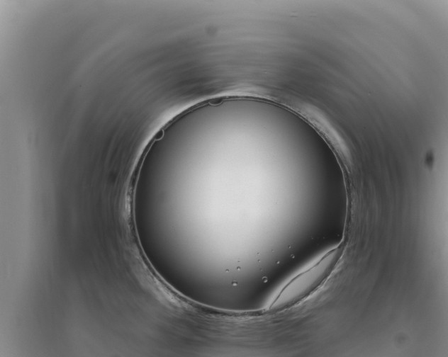 X0000094351292200711091443