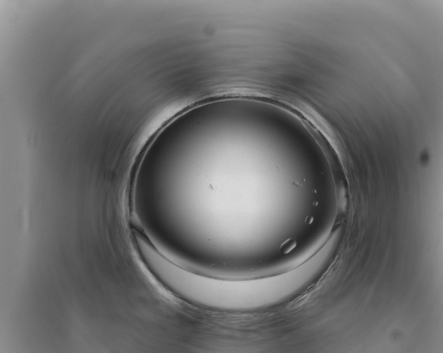 X0000094351293200711091443