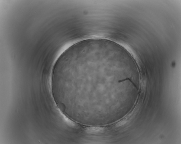 X0000094351294200711091443