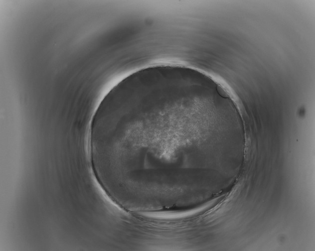 X0000094351295200711091443