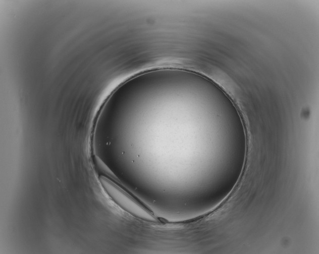 X0000094351296200711091443