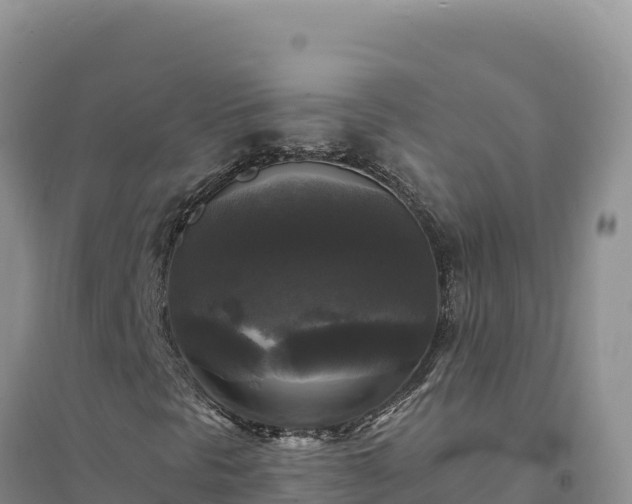 X0000094351297200711091443