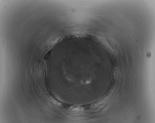 X0000094351298200711091443