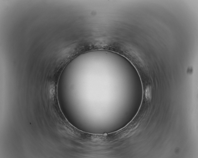 X0000094351299200711091443