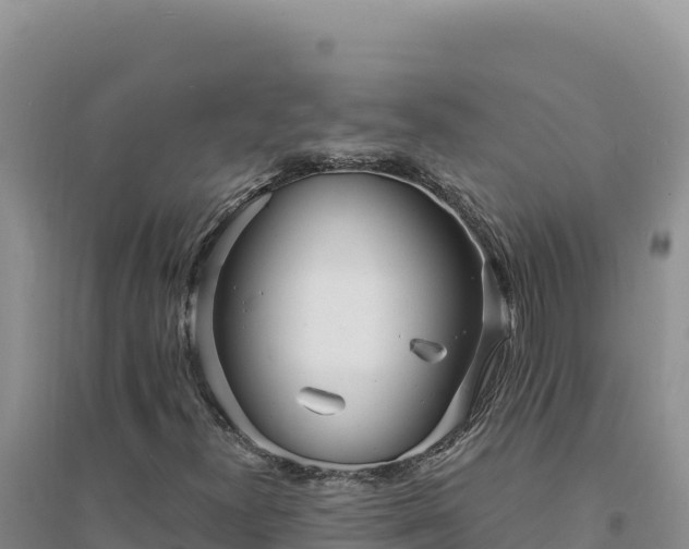 X0000094351300200711091443