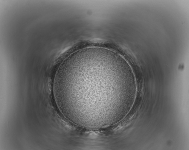 X0000094351301200711091443