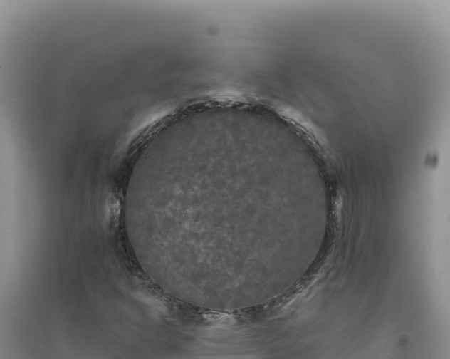 X0000094351302200711091443