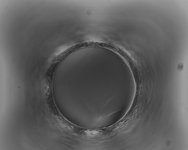 X0000094351303200711091443