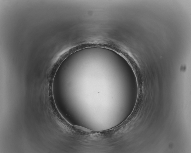 X0000094351304200711091443