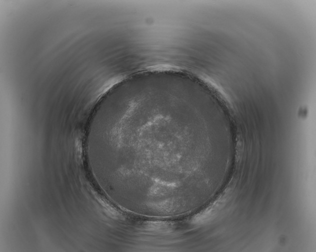 X0000094351305200711091443