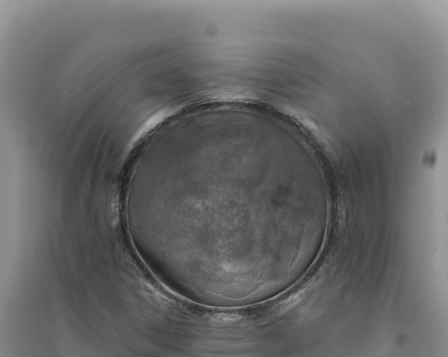 X0000094351306200711091443