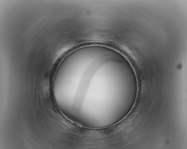 X0000094351307200711091443