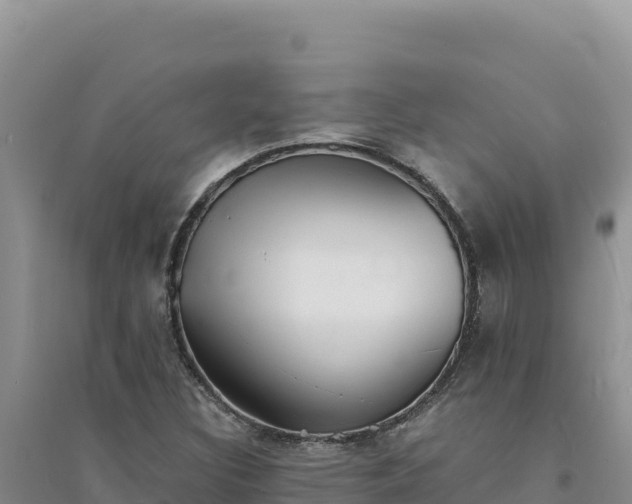 X0000094351308200711091443