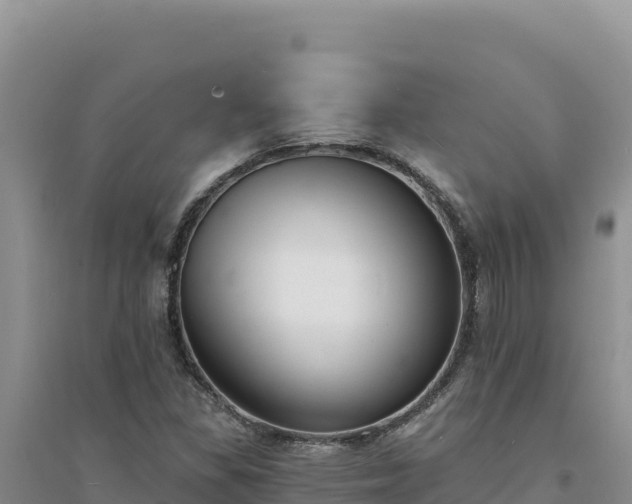 X0000094351309200711091443