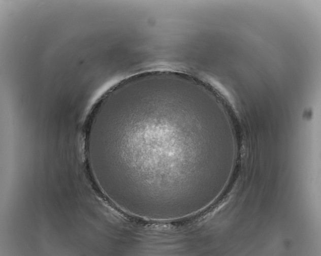 X0000094351310200711091443