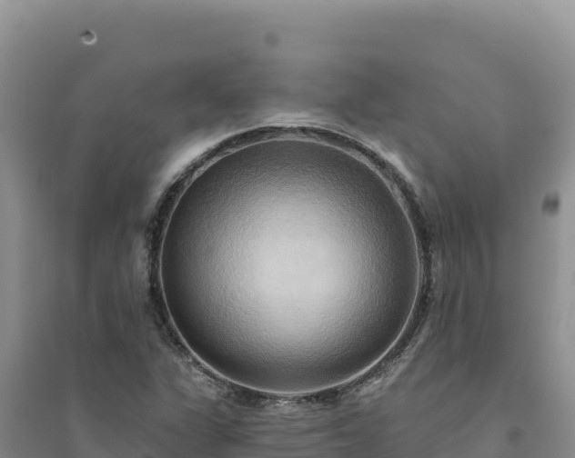 X0000094351311200711091443