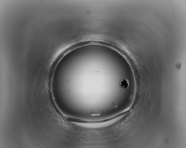 X0000094351312200711091443