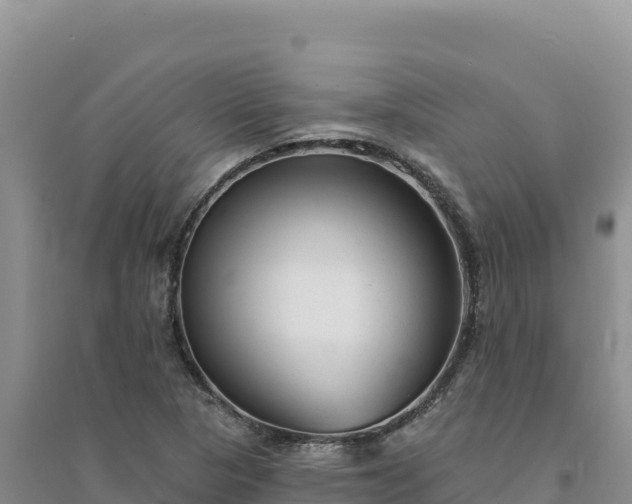 X0000094351313200711091443