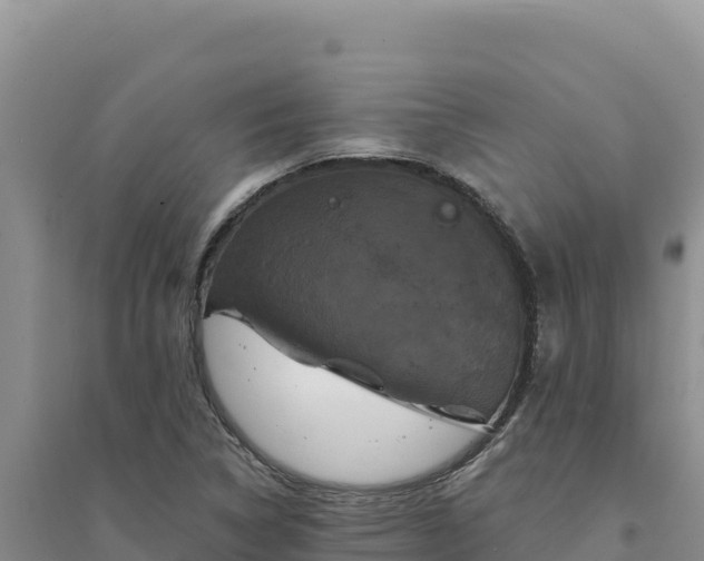 X0000094351314200711091443