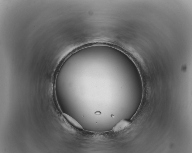 X0000094351316200711091443