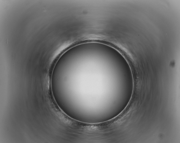 X0000094351317200711091443