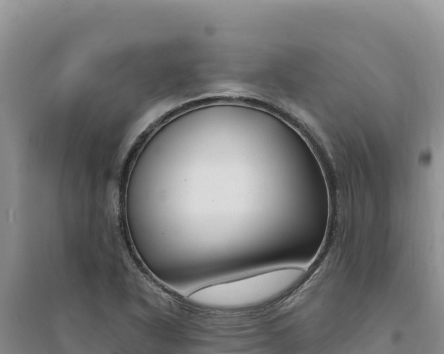 X0000094351318200711091443