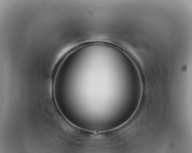 X0000094351320200711091443