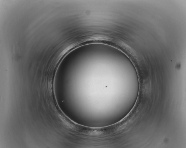 X0000094351321200711091443