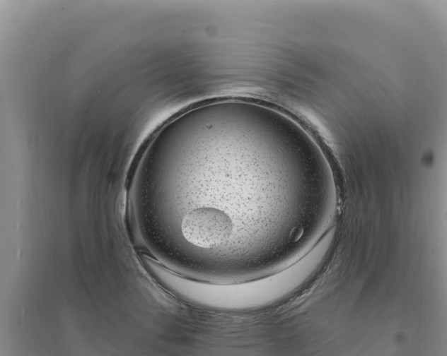 X0000094351324200711091443