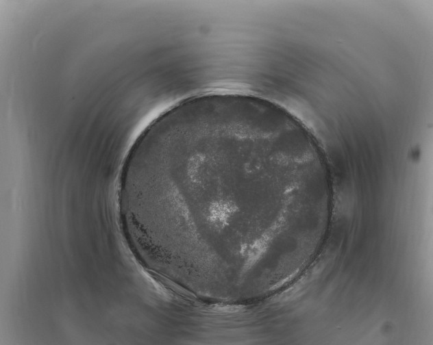 X0000094351325200711091443