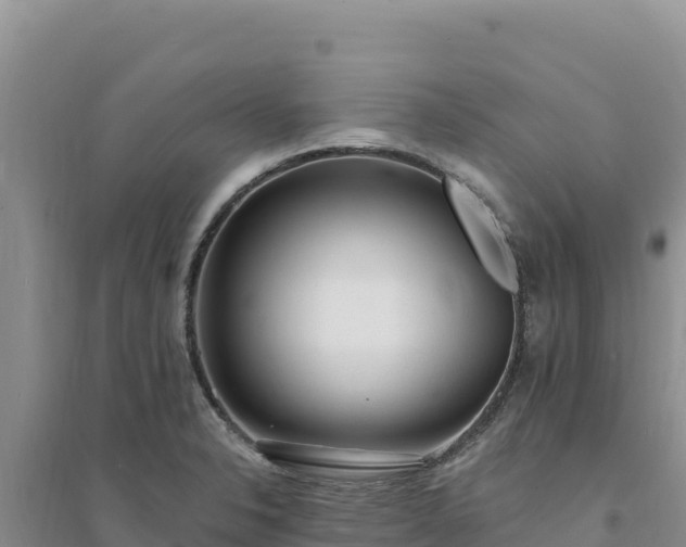 X0000094351326200711091443