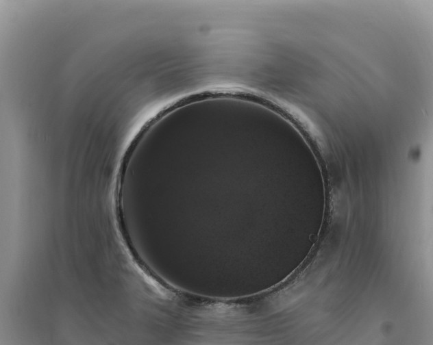 X0000094351327200711091443