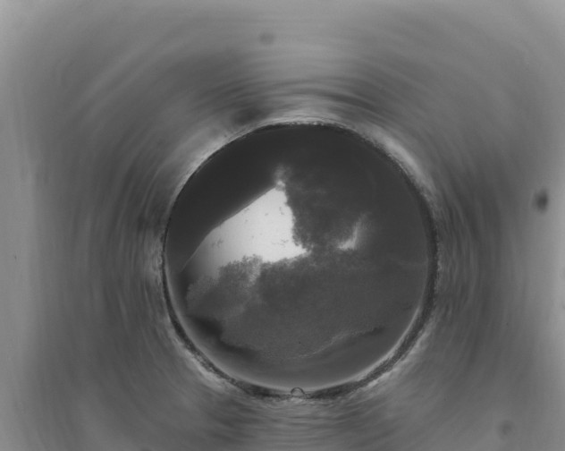 X0000094351329200711091443