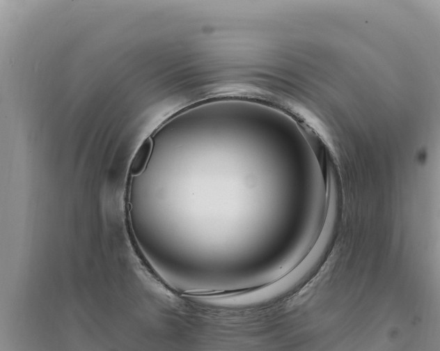 X0000094351330200711091443