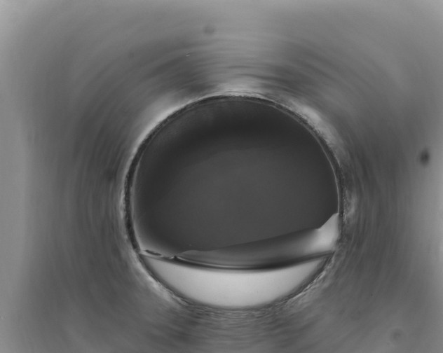 X0000094351331200711091443