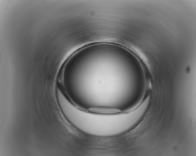 X0000094351332200711091443