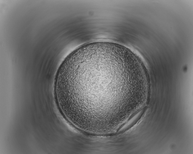 X0000094351333200711091443