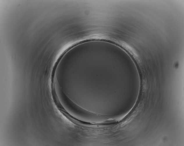 X0000094351334200711091443