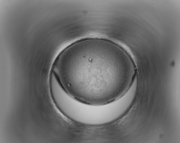 X0000094351335200711091443