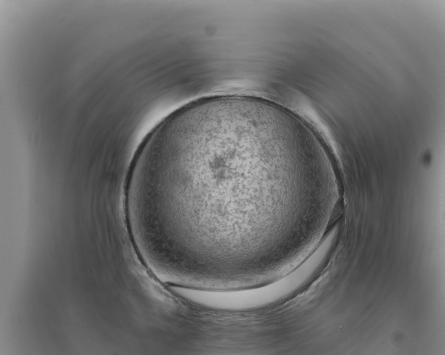 X0000094351336200711091443