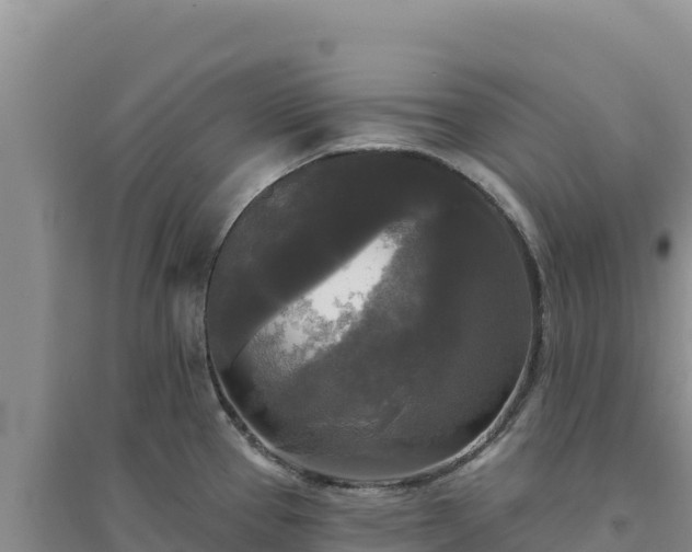 X0000094351337200711091443