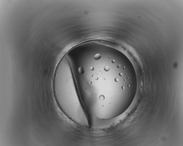 X0000094351338200711091443