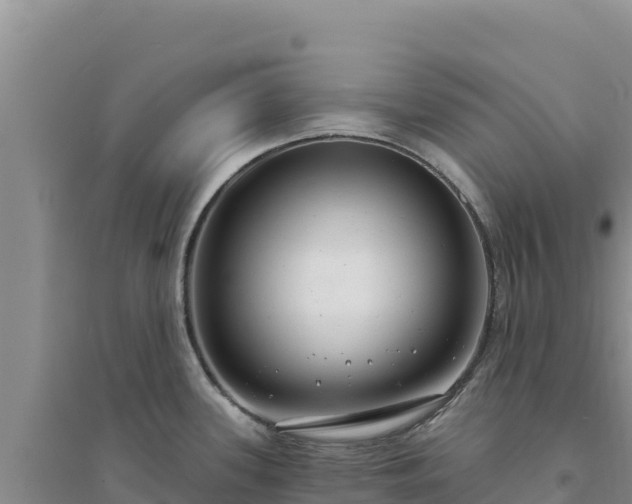 X0000094351339200711091443