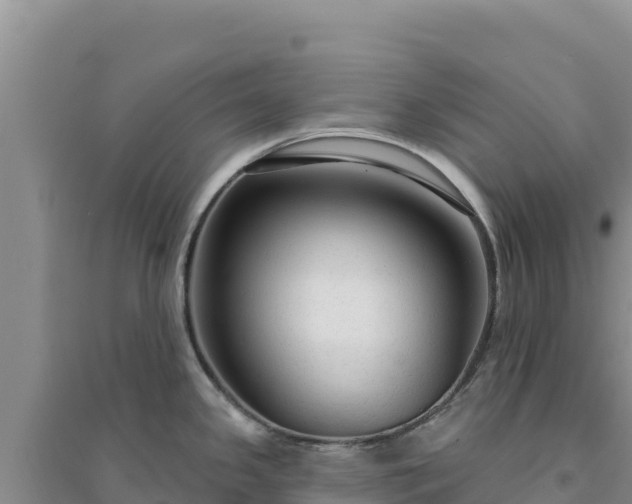 X0000094351341200711091443