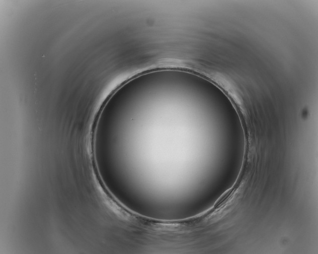 X0000094351342200711091443