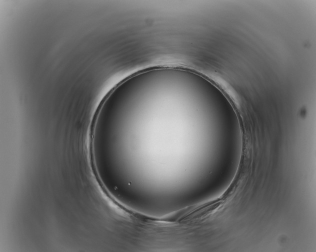 X0000094351343200711091443