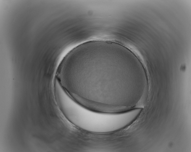 X0000094351344200711091443