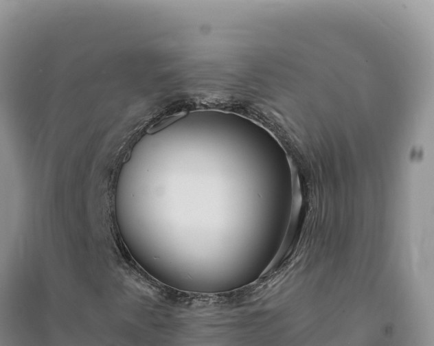 X0000094351345200711091443