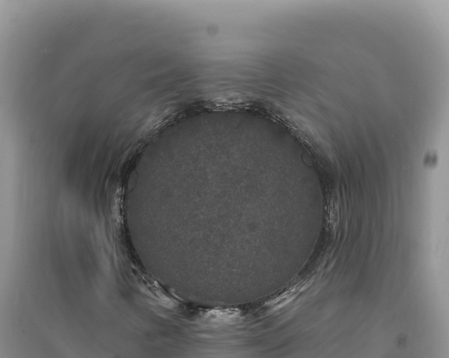 X0000094351346200711091443