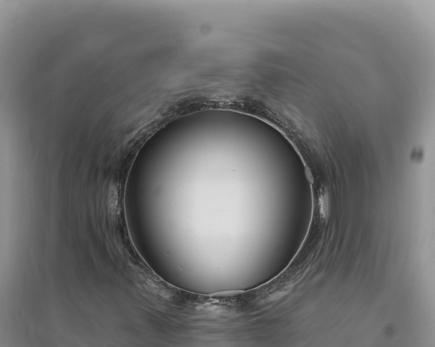 X0000094351347200711091442